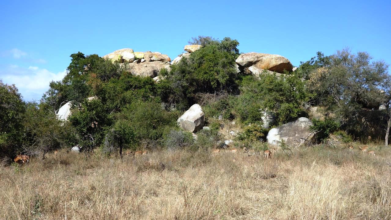 DSC07293.jpg