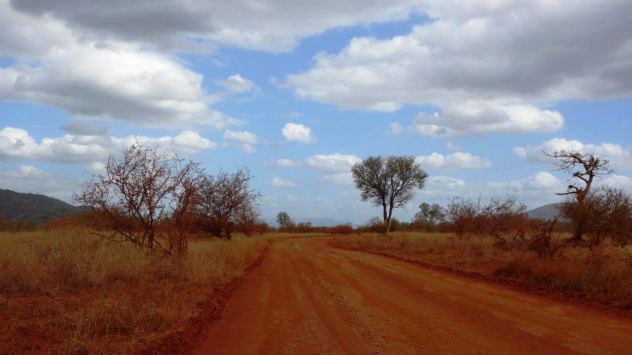 DSC07335.jpg