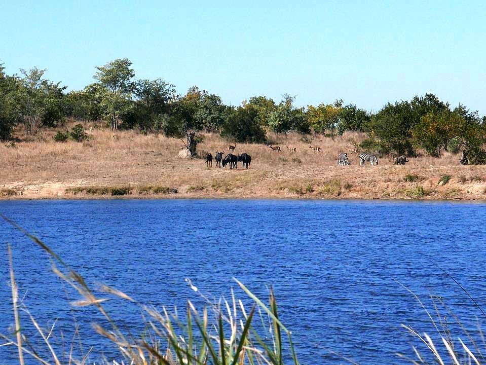 P1050595.jpg