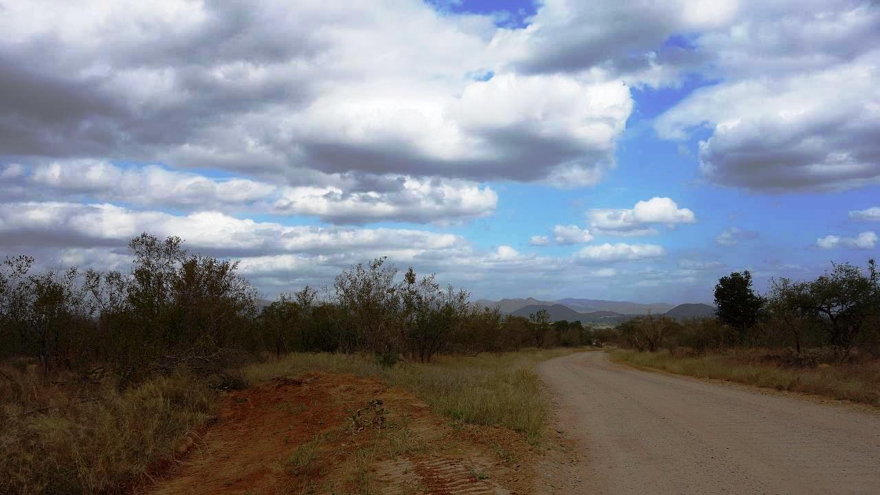 DSC07331.jpg