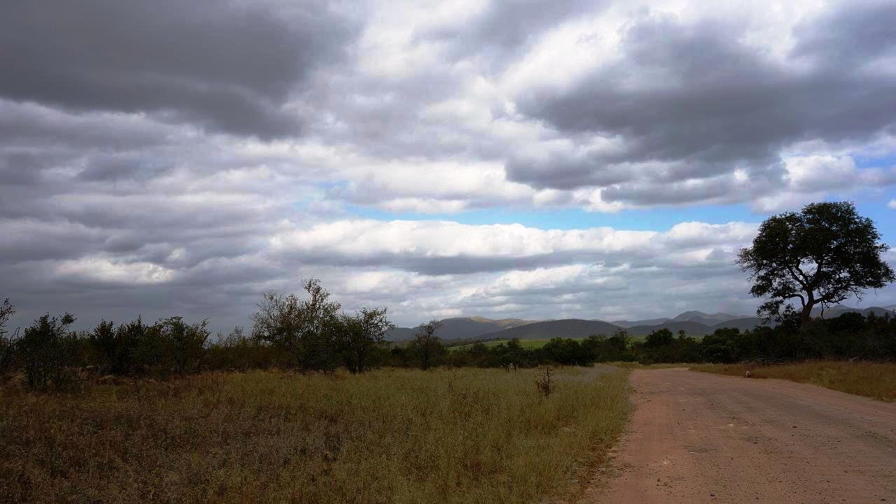 DSC07332.jpg