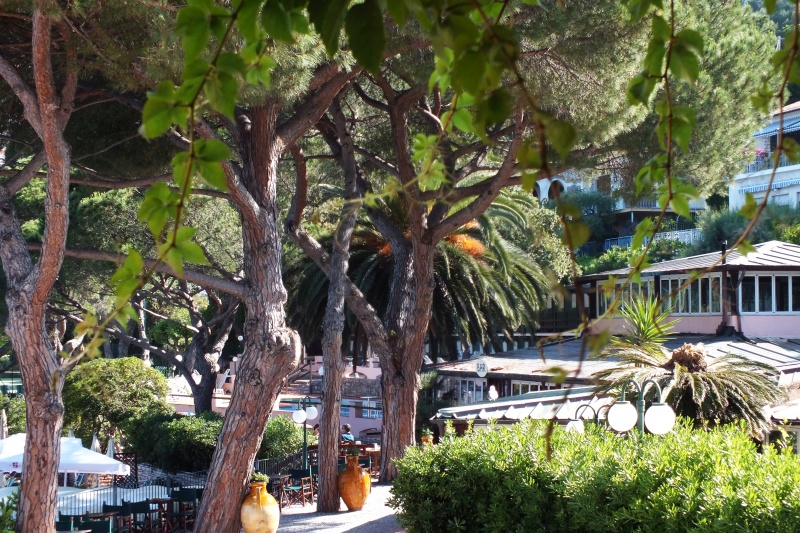 DSCF5763.jpg