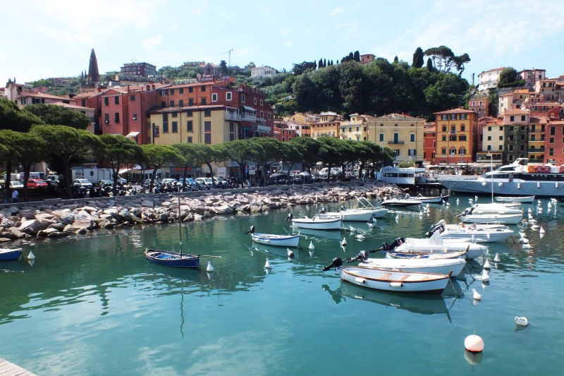 DSCF5767.jpg