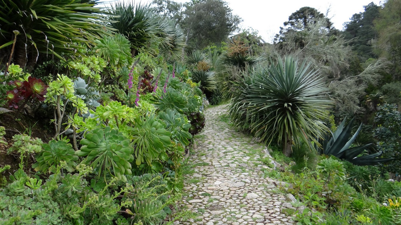 Monserrate105.jpg