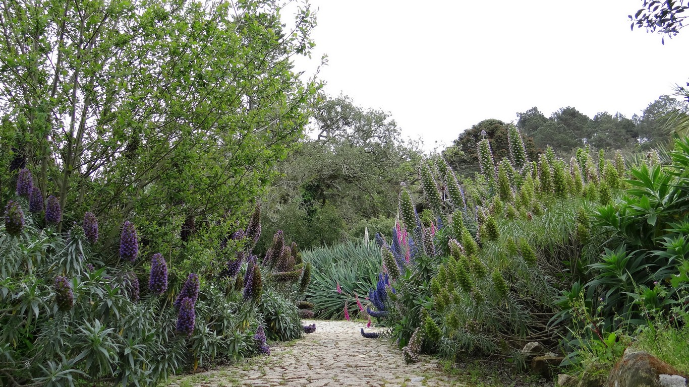 Monserrate107.jpg