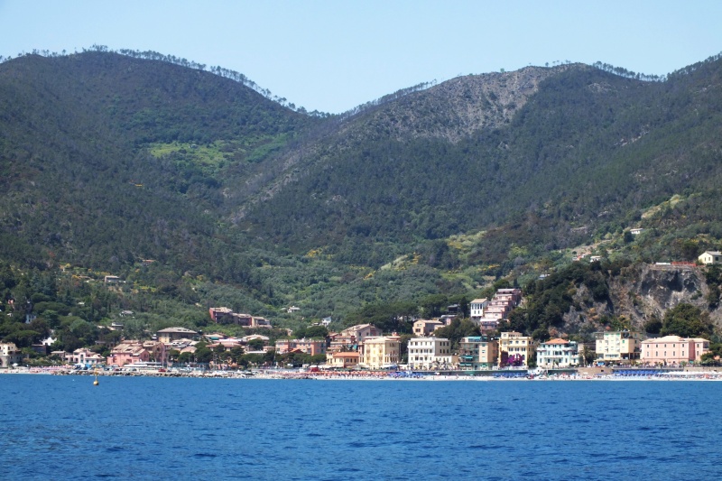 DSCF5919.jpg