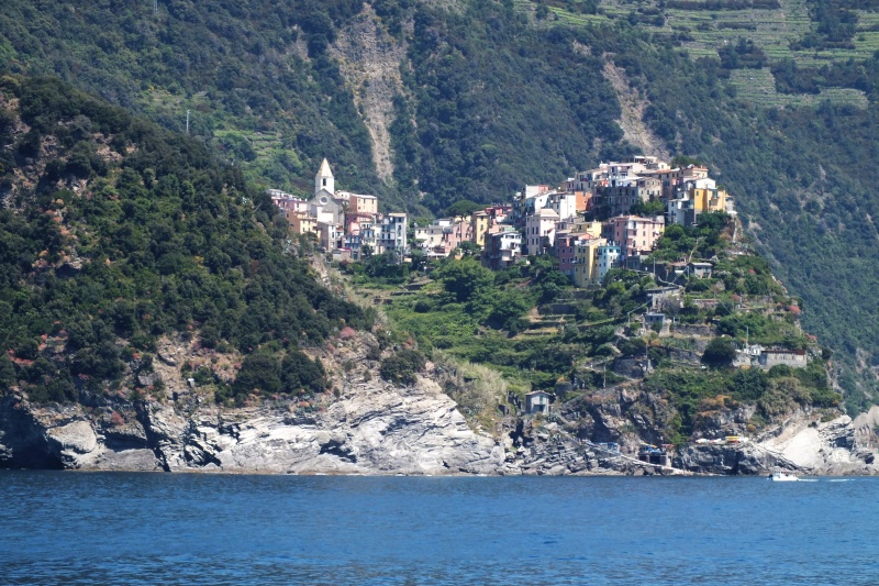 DSCF5954.jpg