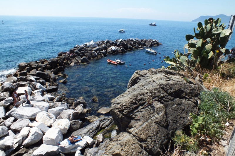 DSCF5977.jpg