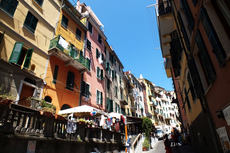 DSCF5984.jpg