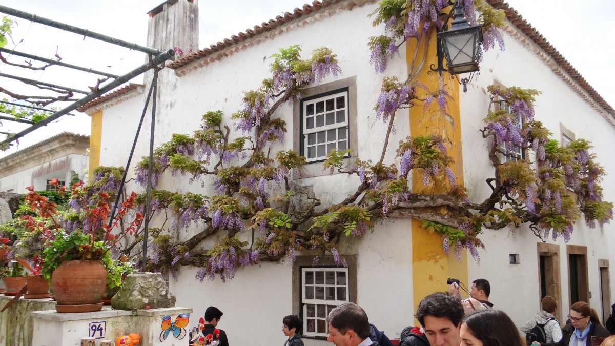 Obidos0001.jpg