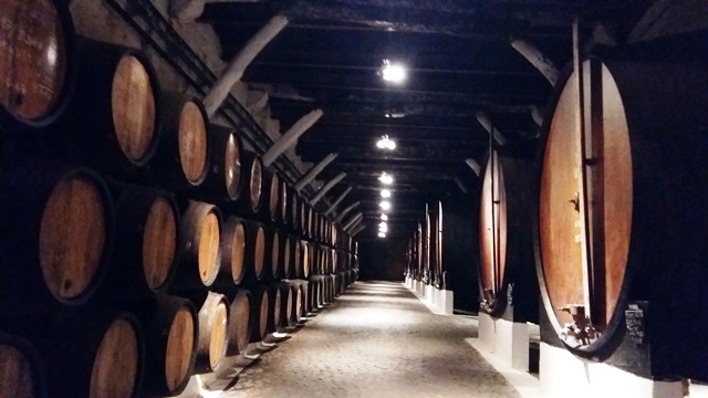 Port_sklady porto.jpg
