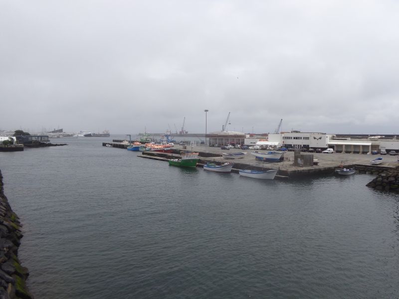 DSC02346.JPG