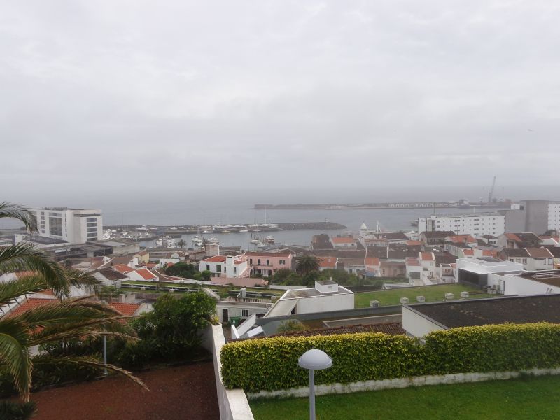 DSC02379.JPG