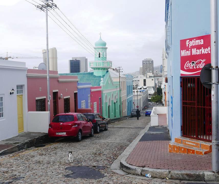 P1050885.jpg