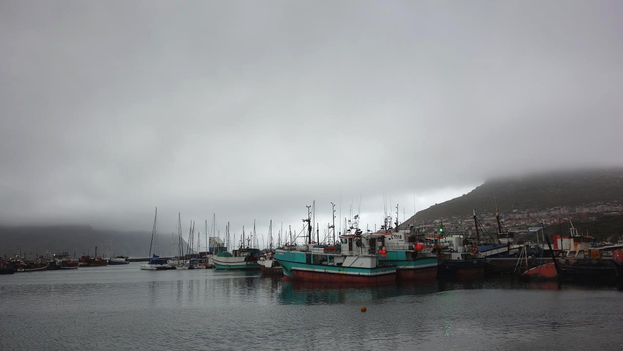 DSC07546.jpg