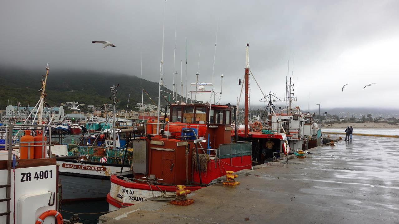 DSC07558.jpg