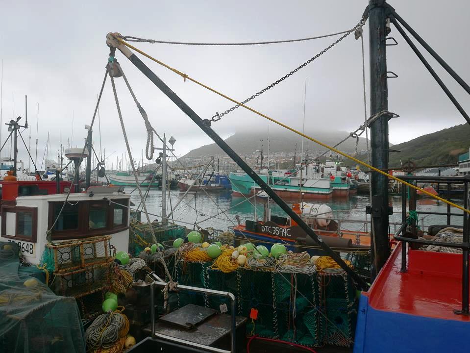 P1050963.jpg