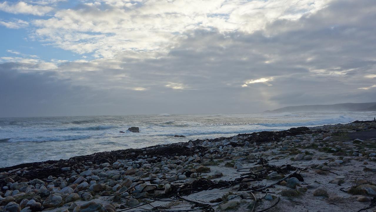 DSC07696.jpg