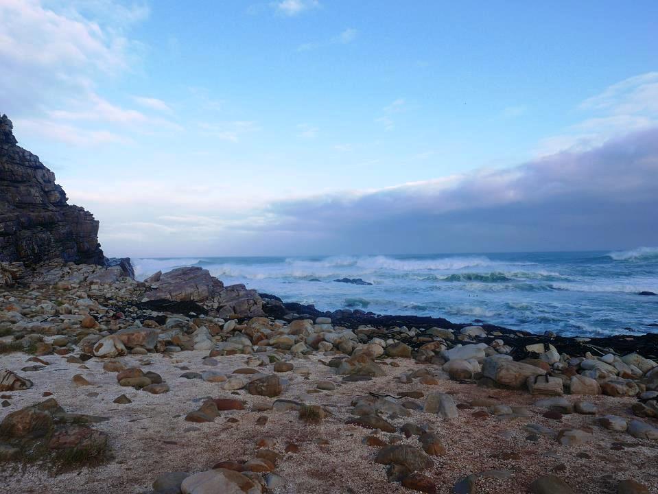 P1060273.jpg