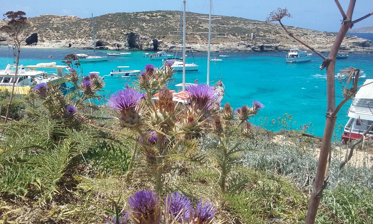 20170520_123519.jpg