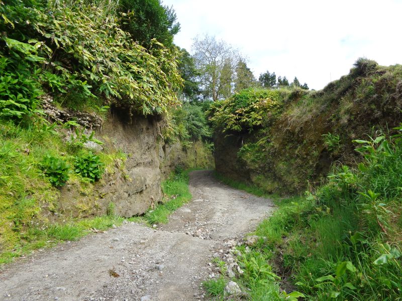 DSC02611.JPG