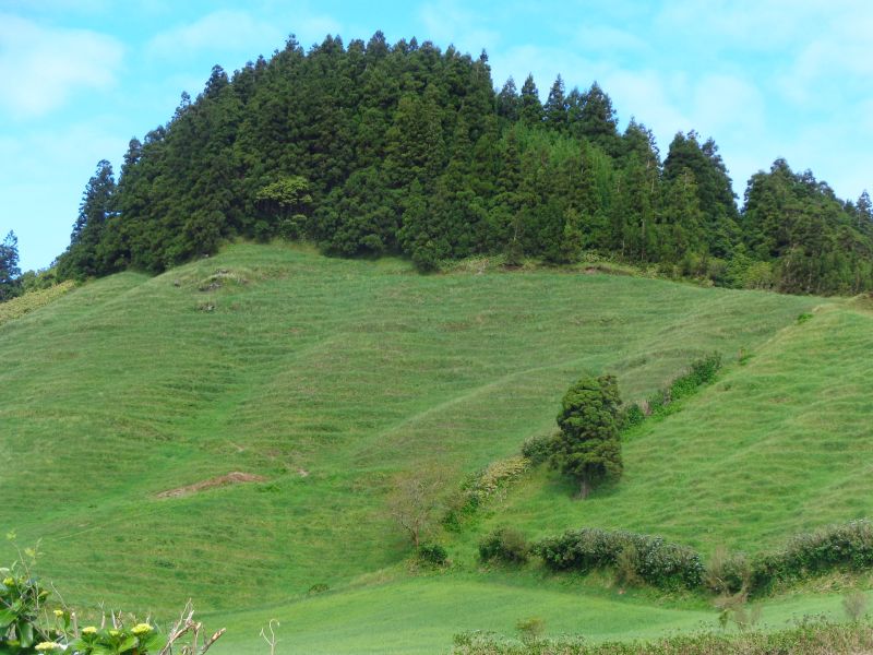 DSC02613.JPG