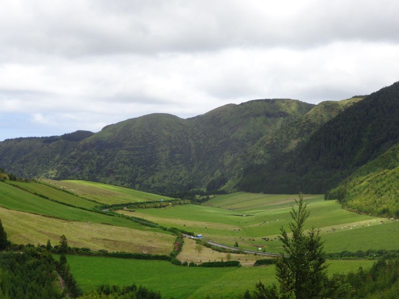 DSC02707.JPG