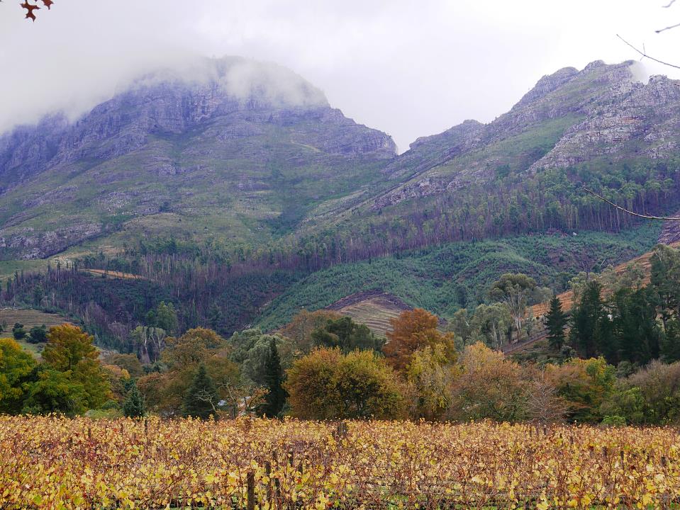 P1060310.jpg