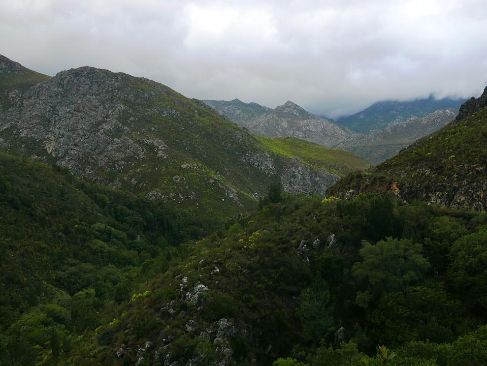 P1060346.jpg