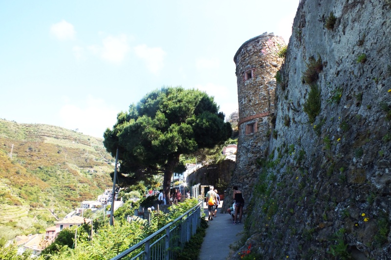 DSCF6077.jpg
