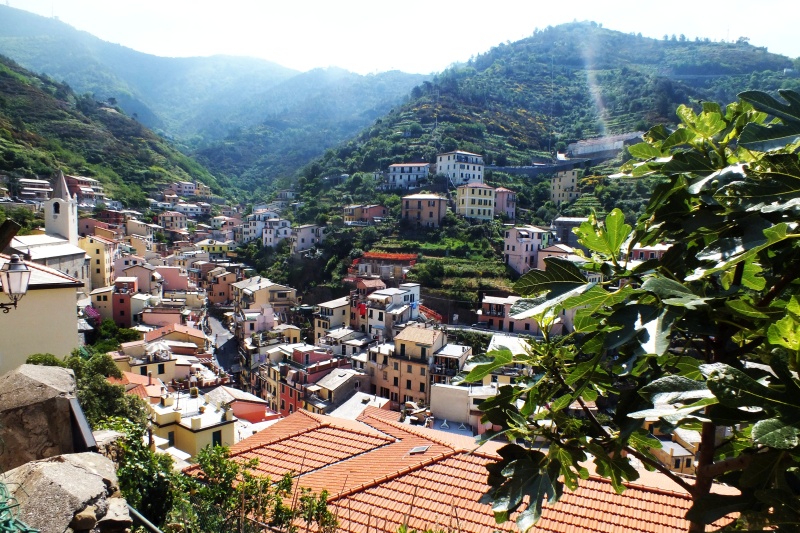 DSCF6079.jpg