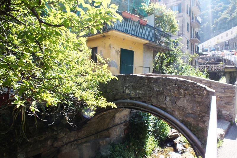 Manarola_.jpg