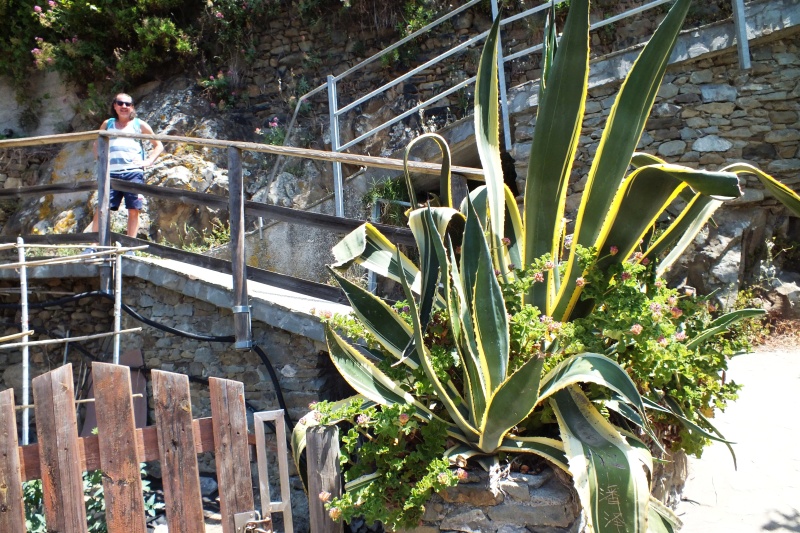DSCF6117.jpg