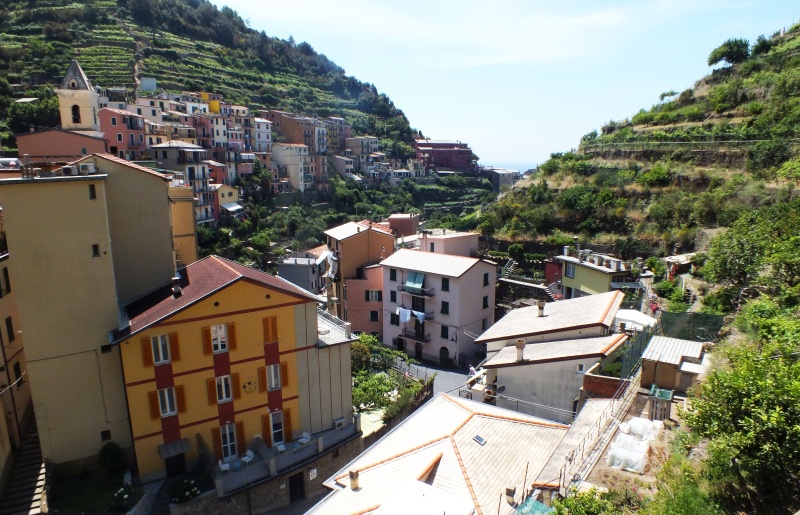 DSCF6120.jpg