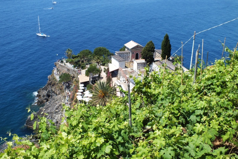 DSCF6128.jpg