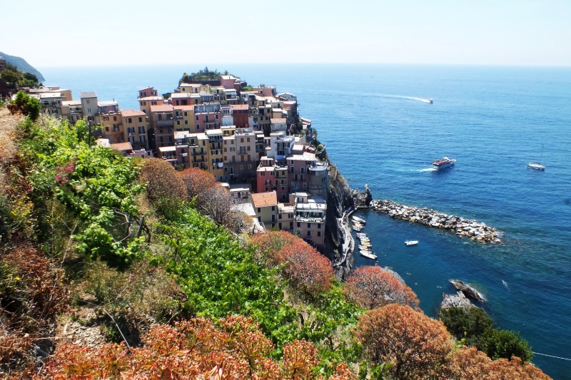 DSCF6129.jpg